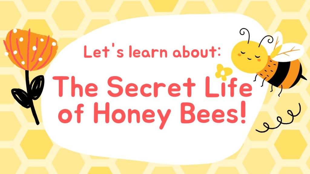 Online courses - The Secret Life of Honey bees